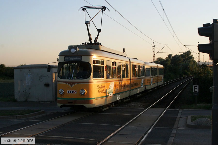 Rhein-Haardtbahn - 1017
/ Bild: rhb1017_cw0708010056.jpg