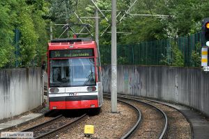Bild: rhb1041_cw0807080027.jpg - anklicken zum Vergrößern Bild: rhb1041_cw0807080027.jpg - anklicken zum Vergrößern