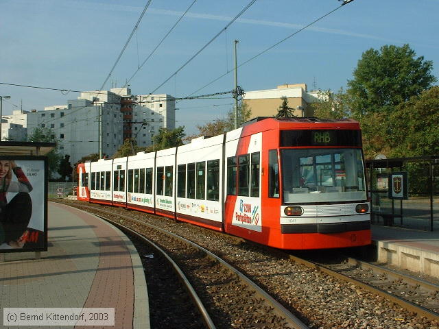 Rhein-Haardtbahn - 1041
/ Bild: rhb1041_11386.jpg