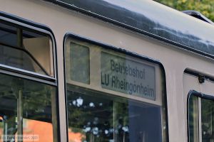 Bild: rnv1057_bk2007230082.jpg - anklicken zum Vergr&ouml;&szlig;ern