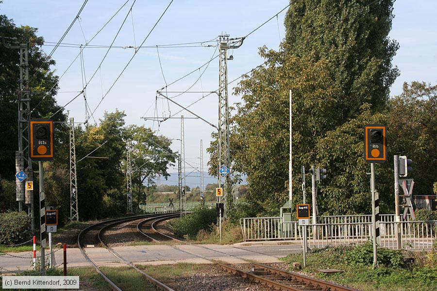 Rhein-Haardtbahn - Anlagen
/ Bild: rhbanlagen_bk0910030007.jpg