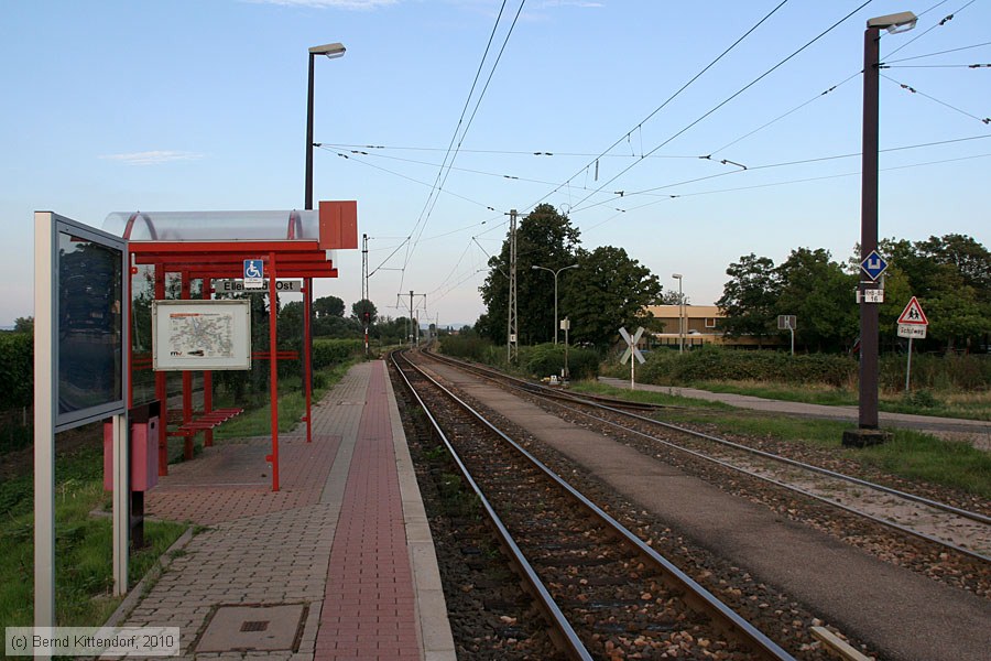 Rhein-Haardtbahn - Anlagen
/ Bild: rhbanlagen_bk1008070002.jpg