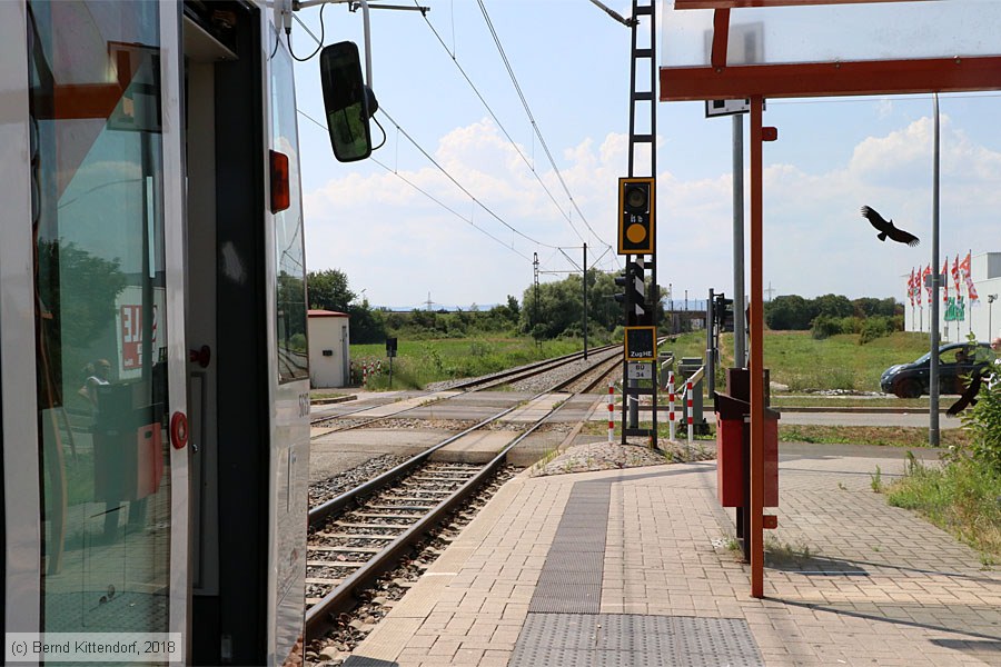 Rhein-Haardtbahn - Anlagen
/ Bild: rhbanlagen_bk1807140004.jpg