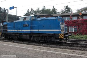 Bild: spitzkev100sp006_bk1410150233.jpg - anklicken zum Vergrößern