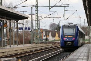 Bild: vlexx622931_bk2103160179.jpg - anklicken zum Vergrößern