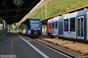 Bild: vlexx622938_bk1908010286.jpg - anklicken zum Vergrößern