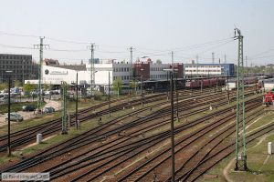 Bild: bfcottbushbf_e0017532.jpg - anklicken zum Vergrößern Bild: bfcottbushbf_e0017532.jpg - anklicken zum Vergrößern