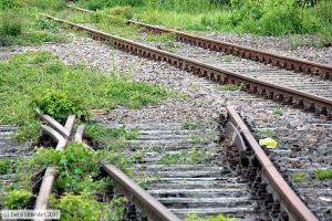 Bild: bfgoellheimdreisen_bk1105280113.jpg - anklicken zum Vergrößern