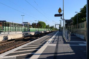 Bild: bfgrossrohrheim_bk2105310080.jpg - anklicken zum Vergrößern