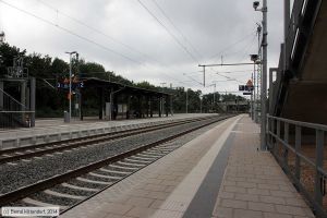 Bild: bfleipzigconnewitz_bk1407300063.jpg - anklicken zum Vergrößern