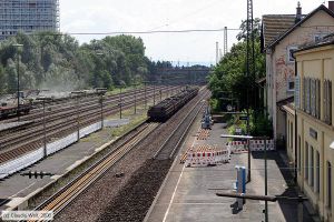 Bild: bfludwigshafenoggersheim_cw0807140068.jpg - anklicken zum Vergrößern