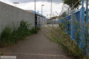Bild: bfmannheimwaldhof_bk2107280008.jpg - anklicken zum Vergrößern Bild: bfmannheimwaldhof_bk2107280008.jpg - anklicken zum Vergrößern