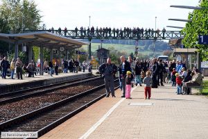 Bild: bfsinsheimelsenz_bk0709290082.jpg - anklicken zum Vergrößern Bild: bfsinsheimelsenz_bk0709290082.jpg - anklicken zum Vergrößern