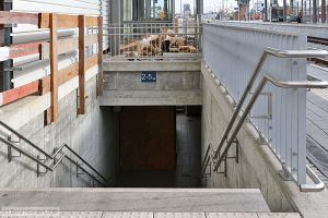Bild: bfstaubing_bk1910300097.jpg - anklicken zum Vergrößern