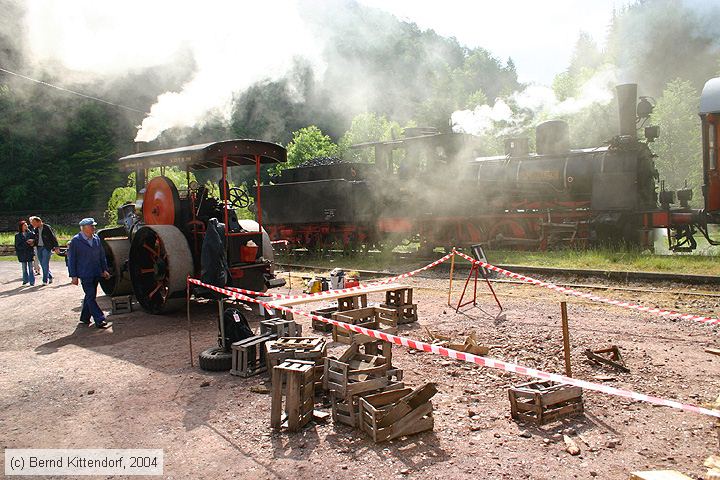 DGEG Kuckucksbähnel - Speyerbach
/ Bild: dgegspeyerbach_e0004245.jpg