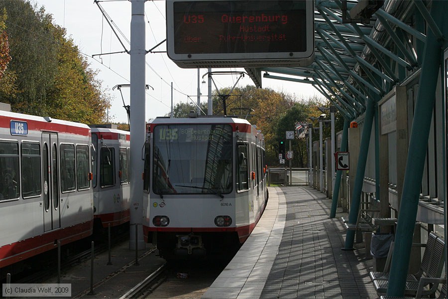 Stadtbahn - Bochum-Herne - 6016
/ Bild: bogestra6016_cw0910210028.jpg