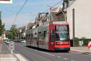 Bild: bonn9456_bk1408080083.jpg - anklicken zum Vergrößern
