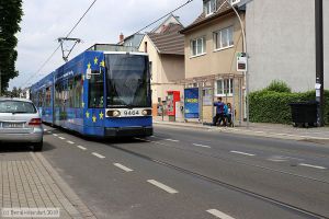 Bild: bonn9464_bk1905270150.jpg - anklicken zum Vergrößern