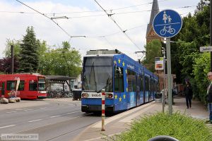 Bild: bonn9464_bk1905270151.jpg - anklicken zum Vergrößern