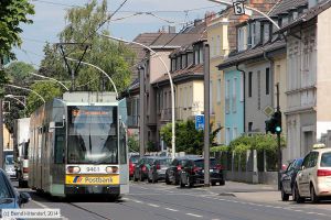 Bild: bonn9468_bk1408080096.jpg - anklicken zum Vergrößern