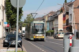 Bild: bonn9468_bk1408080097.jpg - anklicken zum Vergrößern