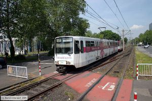Bild: bonn8452_e0020852.jpg