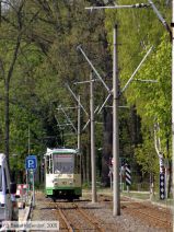 Bild: brandenburg172_e0017137.jpg - anklicken zum Vergrößern