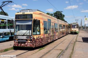 Bild: brandenburg101_bk1006160188.jpg - anklicken zum Vergrößern