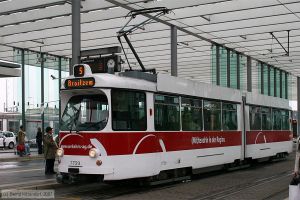 Bild: braunschweig7759_bk0708240002.jpg - anklicken zum Vergrößern