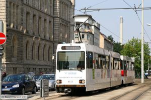 Bild: braunschweig8153_bk0708240102.jpg - anklicken zum Vergrößern