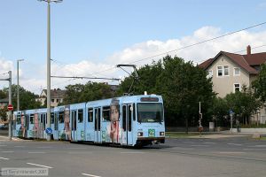 Bild: braunschweig8160_bk0708030059.jpg - anklicken zum Vergrößern