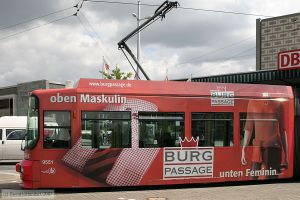 Bild: braunschweig9551_bk0708030011.jpg - anklicken zum Vergrößern