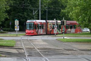 Bild: braunschweig9551_bk0708030056.jpg - anklicken zum Vergrößern