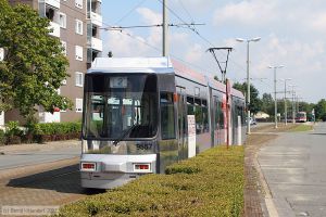 Bild: braunschweig9557_bk0708240147.jpg - anklicken zum Vergrößern Bild: braunschweig9557_bk0708240147.jpg - anklicken zum Vergrößern
