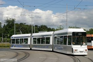 Bild: braunschweig9562_bk0708030016.jpg - anklicken zum Vergrößern