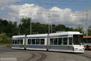 Bild: braunschweig9562_bk0708030017.jpg - anklicken zum Vergrößern