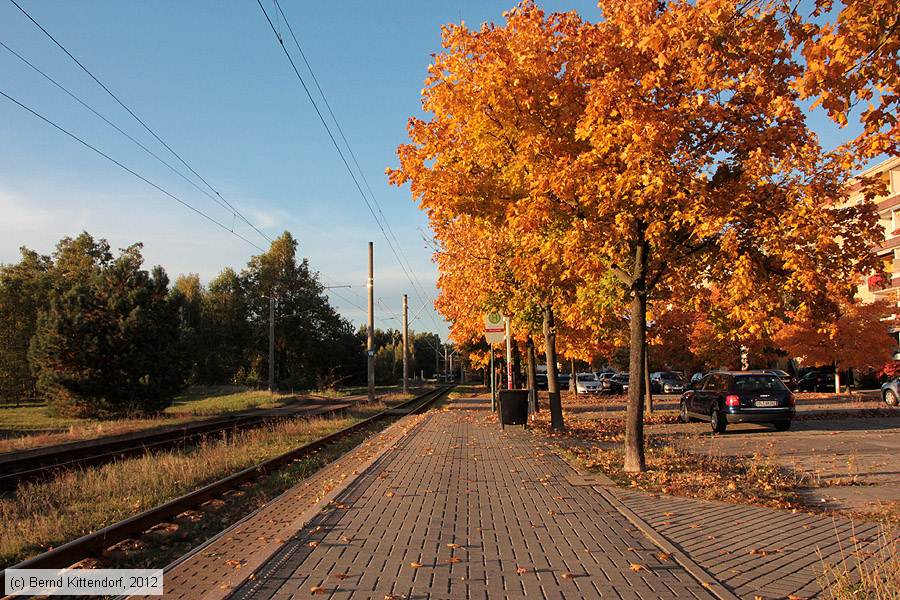 Straßenbahn Cottbus - Anlagen
/ Bild: cottbusanlagen_bk1210180061.jpg
