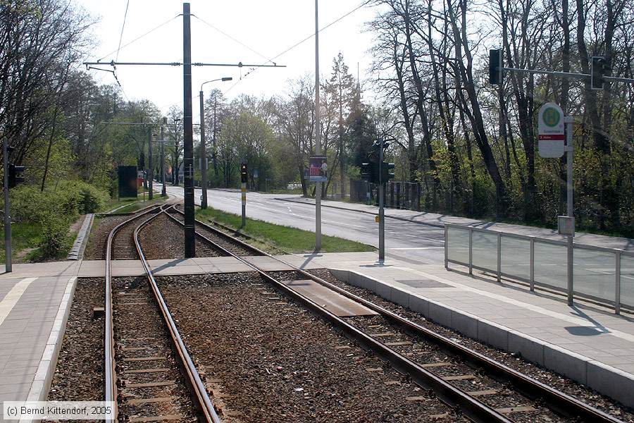 Straßenbahn Cottbus - Anlagen
/ Bild: cottbusanlagen_e0017571.jpg