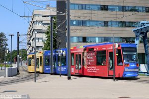Bild: darmstadt9862_bk2506030048.jpg - anklicken zum Vergr&ouml;&szlig;ern