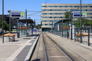 Bild: darmstadtanlagen_bk2506030045.jpg - anklicken zum Vergr&ouml;&szlig;ern