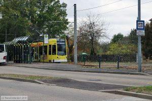 Bild: dessau303_bk1810250027.jpg - anklicken zum Vergrößern Bild: dessau303_bk1810250027.jpg - anklicken zum Vergrößern