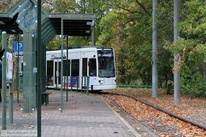 Bild: dessau305_bk1810250030.jpg - anklicken zum Vergrößern Bild: dessau305_bk1810250030.jpg - anklicken zum Vergrößern