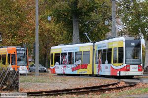Bild: dessau309_bk1810230036.jpg - anklicken zum Vergrößern Bild: dessau309_bk1810230036.jpg - anklicken zum Vergrößern