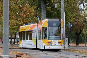 Bild: dessau310_bk1810230046.jpg - anklicken zum Vergrößern Bild: dessau310_bk1810230046.jpg - anklicken zum Vergrößern