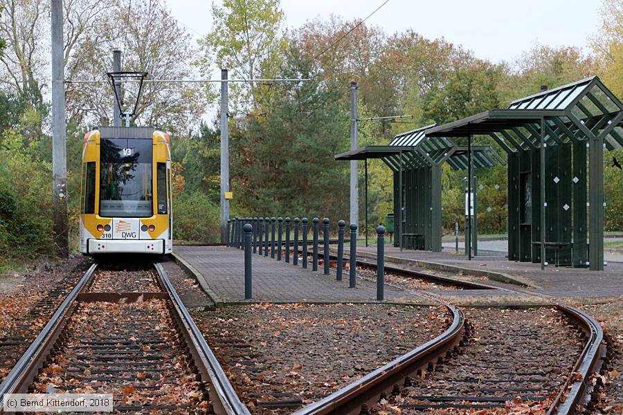 Straßenbahn Dessau - 310
/ Bild: dessau310_bk1810230041.jpg