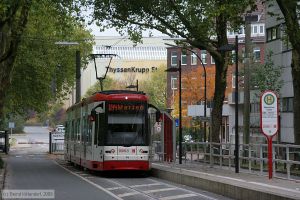 Bild: dortmund14_bk0910190010.jpg - anklicken zum Vergr&ouml;&szlig;ern