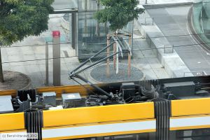 Bild: dresden2706_bk1208170003.jpg - anklicken zum Vergrößern