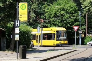 Bild: dresden2707_bk1805310040.jpg - anklicken zum Vergrößern Bild: dresden2707_bk1805310040.jpg - anklicken zum Vergrößern