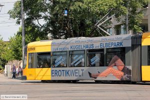 Bild: dresden2811_bk1208180141.jpg