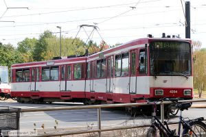 Bild: duesseldorf4204_bk1807310039.jpg - anklicken zum Vergrößern